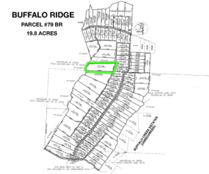 Lot 79 BR - Plat Map
