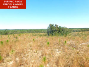Parcel 10 MBN - Buffalo Ridge