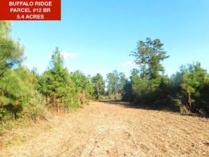 Parcel 12 BR - Buffalo Ridge