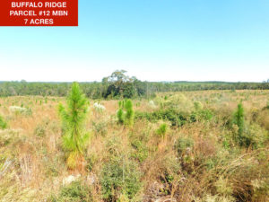 Parcel 12 MBN - Buffalo Ridge