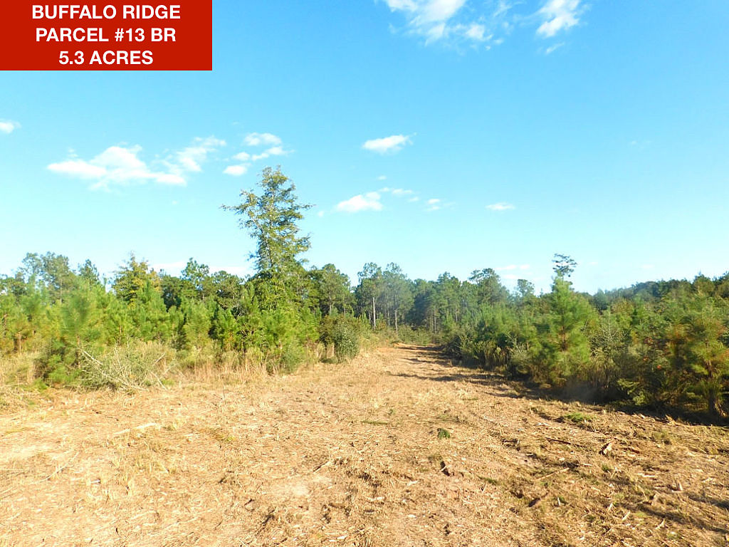 Parcel 13 BR - Buffalo Ridge