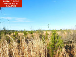 Parcel 26 BR - Buffalo Ridge