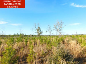 Parcel 27 BR - Buffalo Ridge