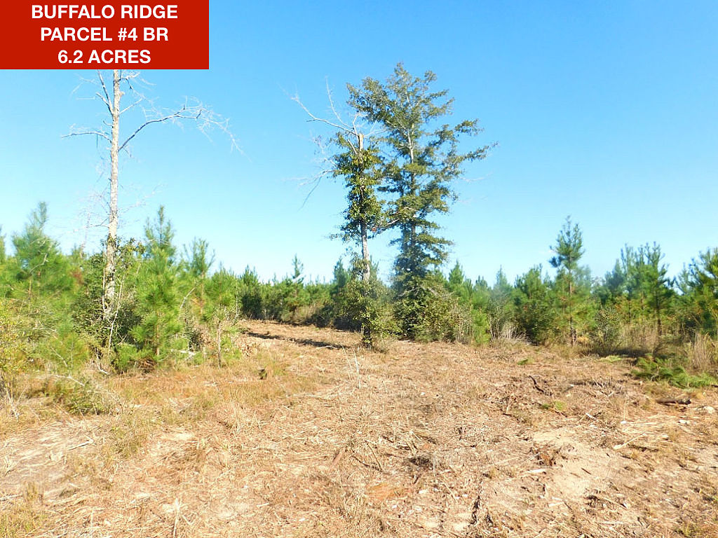 Parcel 4 BR - Buffalo Ridge