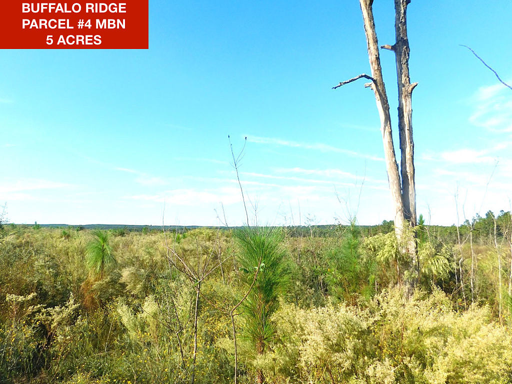 Parcel 4 MBN - Buffalo Ridge