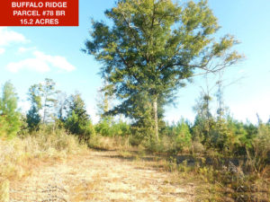 Parcel 78 BR - Buffalo Ridge