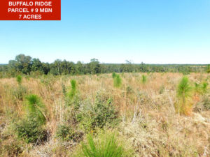 Parcel 9 MBN - Buffalo Ridge