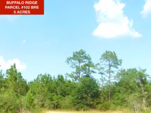 Parcel 102 BRE - Buffalo Ridge