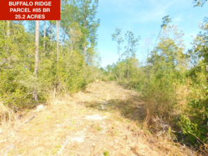 Parcel 85 BR - Buffalo Ridge