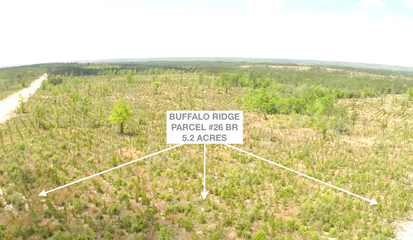 Lot 26 BR, Buffalo Ridge Rd - 5.2 AC