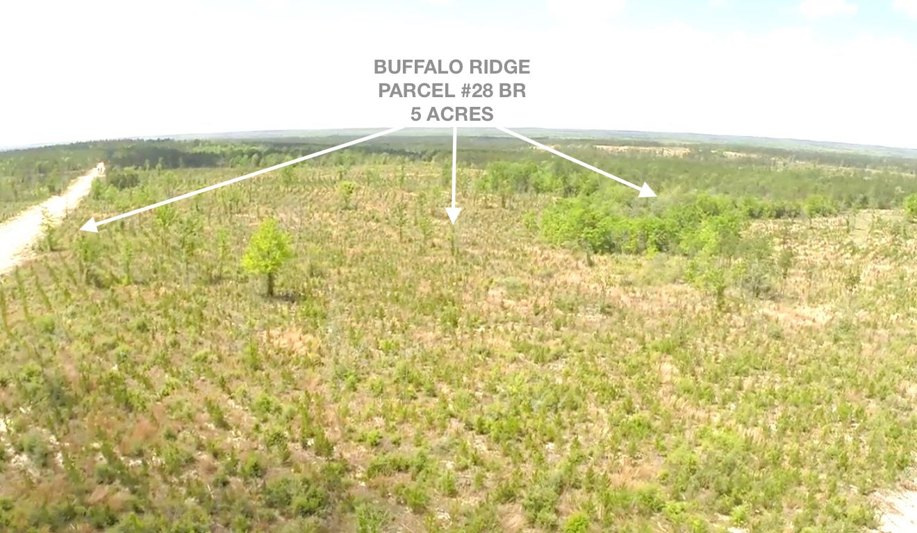 Lot 28 BR, Buffalo Ridge Rd - 5 AC