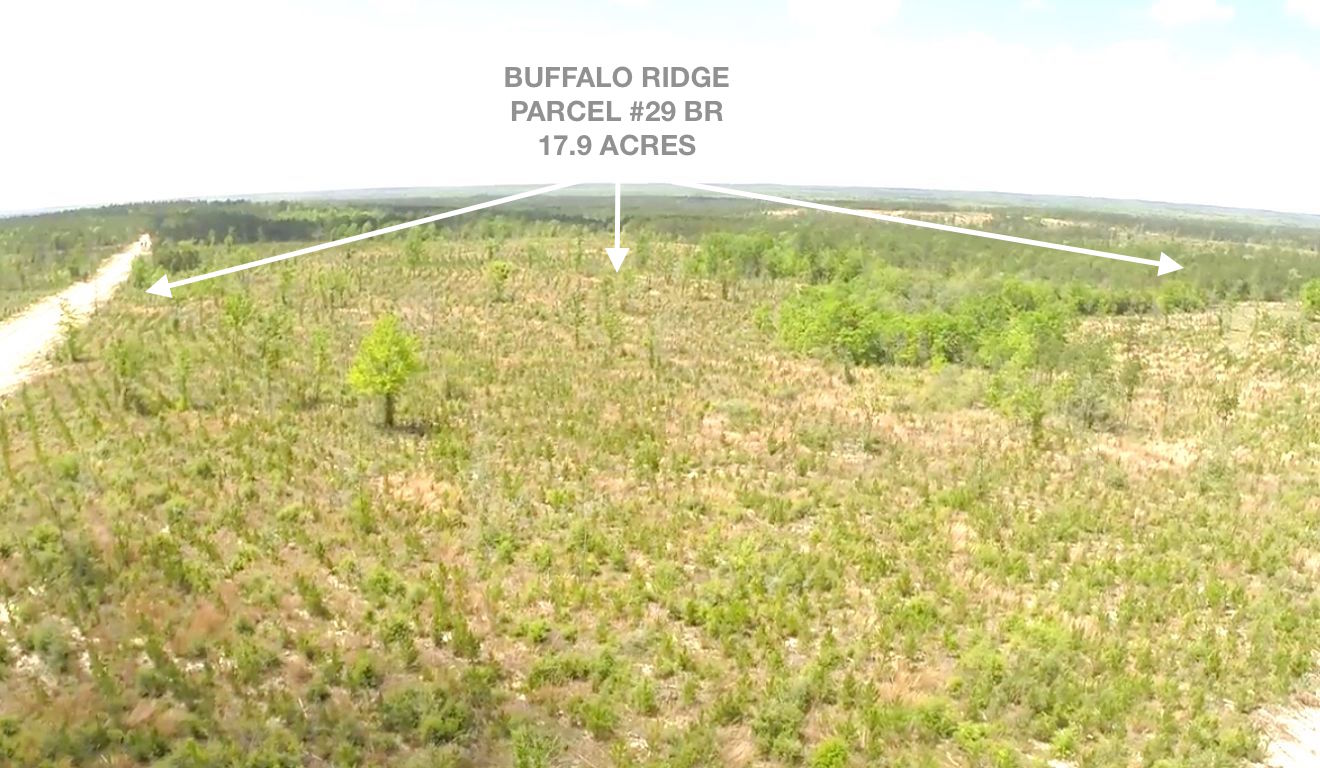 Lot 29 BR, Buffalo Ridge Rd - 17.9 AC