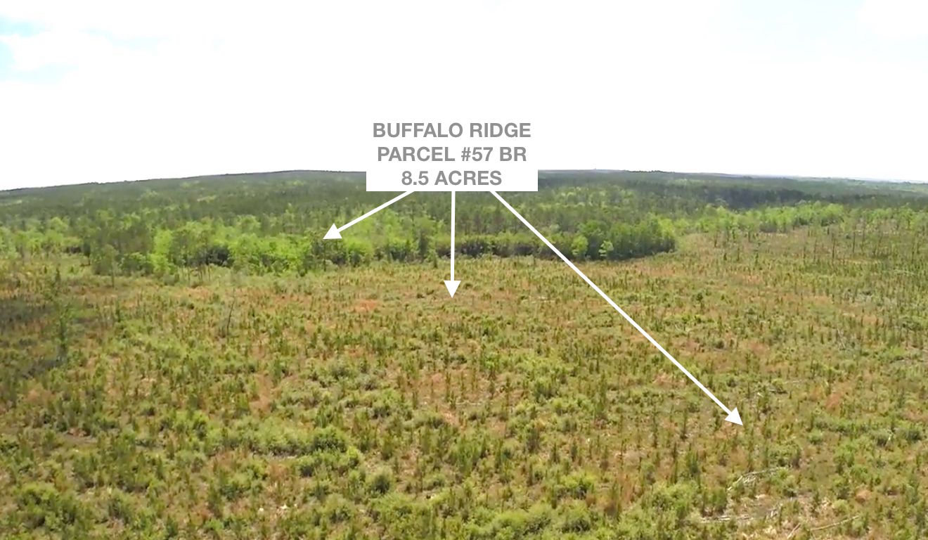 Lot 57 BR, Buffalo Ridge Rd - 8.5 AC