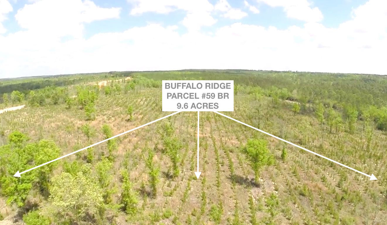 Lot 59 BR, Buffalo Ridge Rd - 9.6 AC