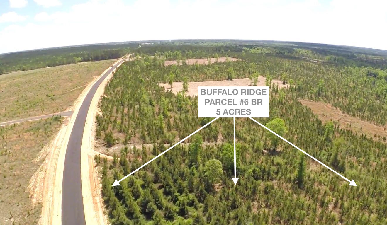 Lot 6 BR, Buffalo Ridge Rd - 5.1