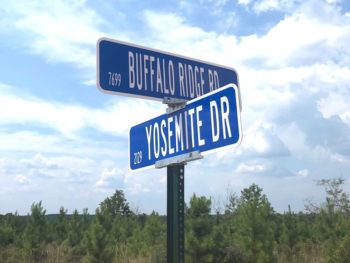 Yosemite Dr, Buffalo Ridge Pace, FL
