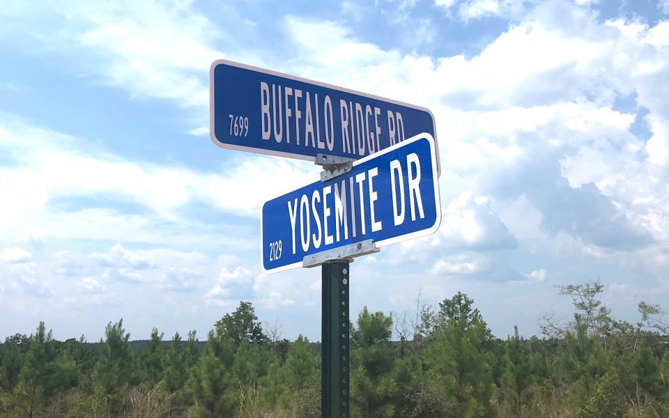 Yosemite Dr, Buffalo Ridge Pace, FL