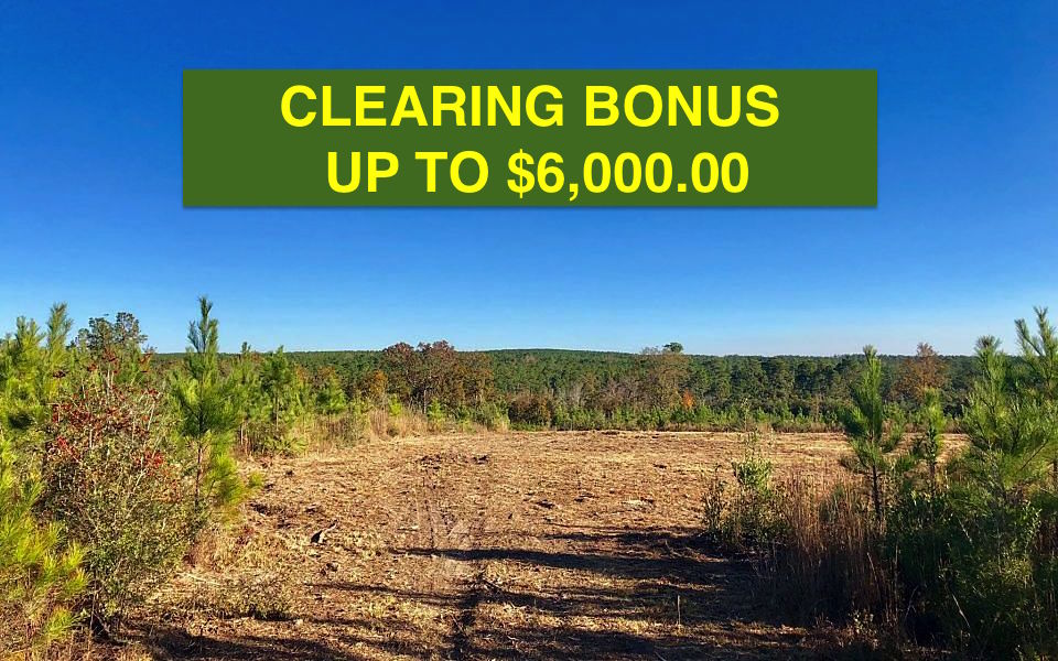 Clearing Bonus - Buffalo Ridge