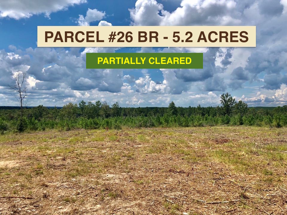 Lot 26 BR Buffalo Ridge