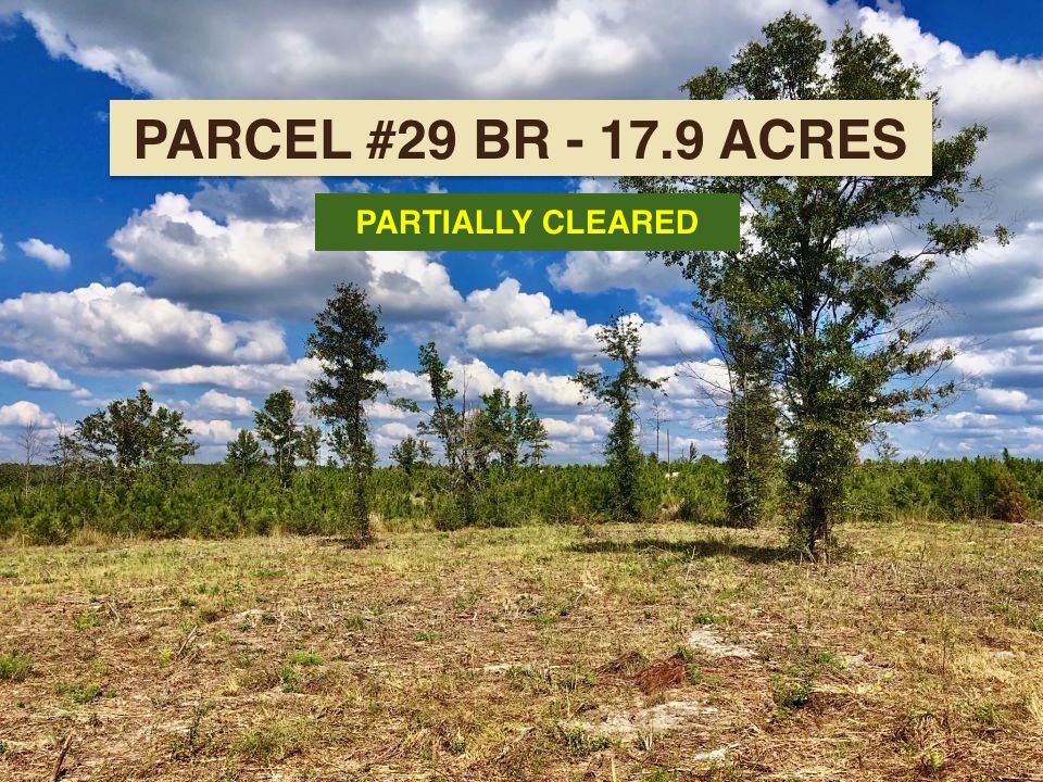 Lot 29 BR Buffalo Ridge
