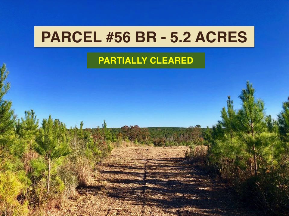 Lot 56 BR Buffalo Ridge