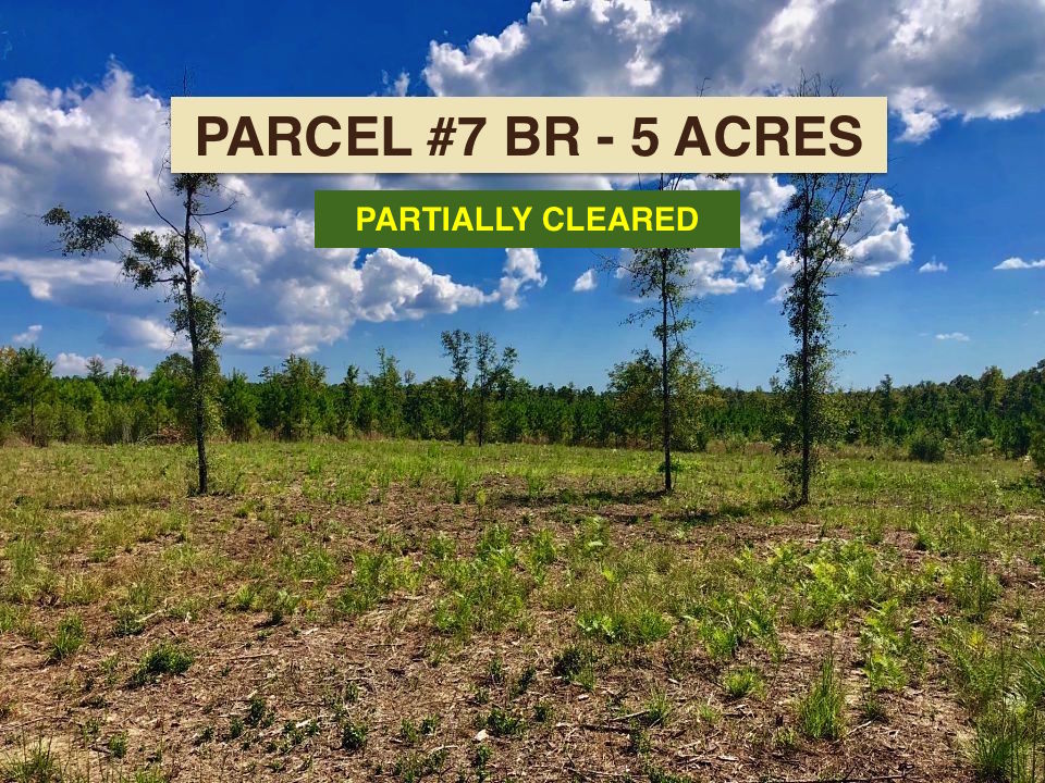 Lot 7 BR Buffalo Ridge
