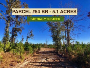 Parcel #54 BR Buffalo Ridge