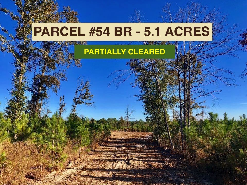 Parcel #54 BR Buffalo Ridge