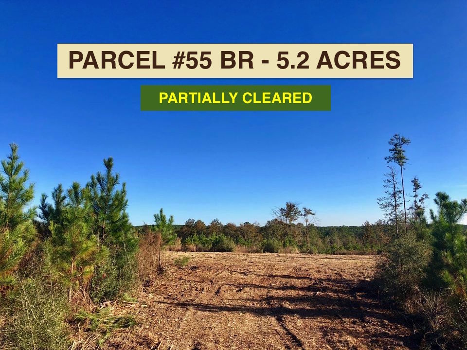 Parcel #55 BR Buffalo Ridge